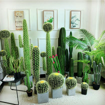 Large Nordic simulation plant Cactus fairy column fake potted ins wind wedding window floor-to-ceiling decorative ornaments