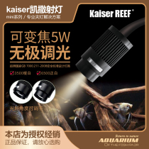 Kaiser Caesar native South American alien rat fish tank three lakes water grass turtle tank LED spotlight clip light ornamental fish