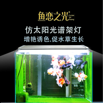 Explosive moss algae Moss aquatic grass lantern koi goldfish ranch lantern Full Spectrum led small fish tank light Fish Love