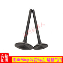 Hailing M7 CQR Tomahawk water-cooled CB250 engine off-road motorcycle valve intake and exhaust valve assembly