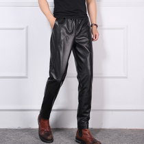 New leather pants mens autumn thin loose Haren pants slim Korean version of sheep leather motorcycle small foot leather pants men