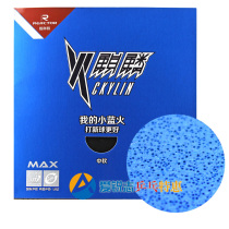 REACTOR rukot fire unicorn small blue fire astringent cake sponge table tennis racket anti-rubber rubber