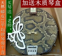 Wave musical instruments Guangdong ukulele Qinqin musical instruments playing side help Rosewood national musical instruments selected python skin