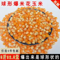 Specialty Hallik round dried corn kernels Household spherical burst homemade popcorn special 500g 5 pounds