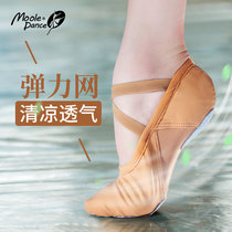 Little Jasmine elastic mesh lace-up dance shoes Soft-soled womens practice shoes Adult cat claw shoes Ballet body shoes