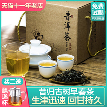 2021 spring tea past Puer raw tea loose tea raw tea raw tea tea gift box Yunnan tea