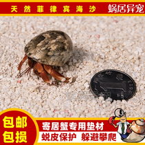 Hermit crab natural mat Philippine sand sand original shell sand breeding box 2 5kg snail dwelling
