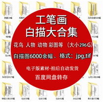 Meticulous painting line drawing line drawing high-definition manuscript material flower and bird homework copying practice song sketch electronic version picture