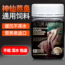 Egypt colorful angelfish feed Swallow fish General type high protein colorizing sink bottom particles Freshwater special fish food