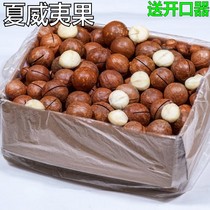Whole box of Macadamia nuts 5kg original cream flavor Bulk 500g bagged large particles Send batch opener dried nuts