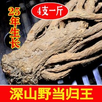 25 years of pure wild special grade Minxian old Angelica in the season new whole root extra large coarse root natural sulfur-free smoked Chinese medicinal materials