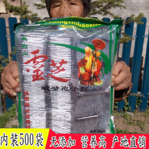  Jilin Changbai Mountain Ganoderma lucidum spore powder 500 bags 1g 1 bag Toudao powder Linzhi powder origin straight hair