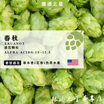 Spring and autumn hops Ekuanot home brewed beer raw materials hops self-brewed beer imported wine flowers fragrant flower stuffed hops