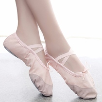 Classical Dance Shoes Women Soft-bottom Exercises Shoes Adult Female Cat Paw Shoes Ballet Dancing Shoes Free of lace Canvas Body Shoes