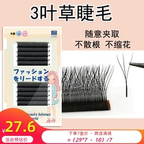 Clover eyelash grafting 3d one-second automatic flowering soft than y-shaped thick eyelashes 3-leaf grass planting false eye eyelashes