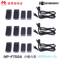 Ruiying led photography light camera lamp 4600mA with lithium battery NP-F750A lithium battery six charge