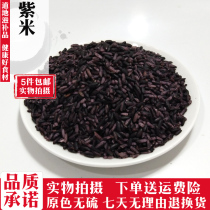 Purple rice 500g g Yunnan Mojiang purple rice black glutinous rice white glutinous rice grains purple glutinous rice 5 pieces