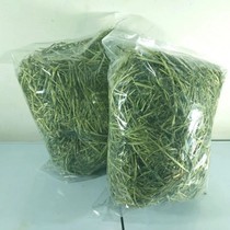 Flowers flowers 21 years New mention Moshe grass South Tiganti hay rabbit grass grain rabbit grain pasture grass dragon cat Dutch pig feed grain