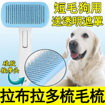 Labrador Special Comb Pooch Comb Hair deity Hair Dresser Hair hair Hairdresser Hair Beauty Massage Cub Supplies