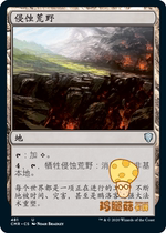 Erosion Wilderness Encroaching Wastes MTG Commander Legend Pre-Group CMR-481 Jane