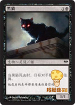Black Cat Black Cat MTG dark shadow shrouded in DKA-054 iron