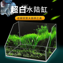Ultra-white water land fish tank Plant landscape tank Micro-landscape oblique mouth landscape tank Turtle tank Amphibious ecological tank Rainforest tank