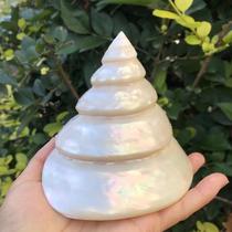 Natural conch shell white fluorescent tower fish tank landscaping decoration home children's gift ornaments hermit crab shell