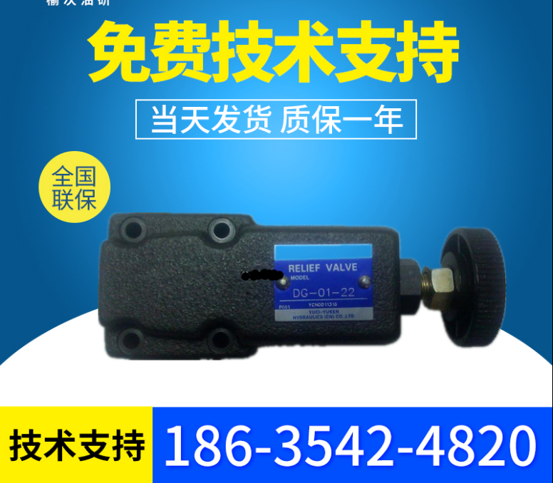 DG-02-H-22 direct overflow valve