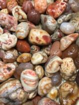 Alashan natural original stone agate Gobi Agate stone on the three life live broadcast