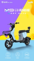 Taiwan Bell M9LG super energy lithium battery new electric car vacuum tire 48V small pedal bicycle pedal