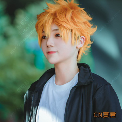 Shoyo Hinata Cosplay Haikyuu Costumes Wigs Sh