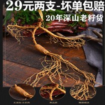 First-class ginseng 29 yuan 2 fresh northeast Changbai Mountain wild ginseng forest under Forest ginseng 20 years Jilin fresh wild ginseng