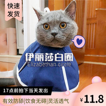 Pet Elizabeth Circle kitty medical non-woven fabric Soft summer anti-licking anti-surgical Item Circle