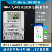 Haixing electric power DDZY208 single-phase fee-controlled smart meter NB-IoT wireless remote valve-controlled prepaid household