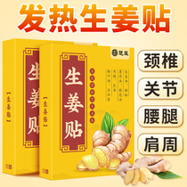 Ginger Paste Fever Ginger Paste Shoulder and neck Sick Sick Fever Heating Cervical Spine Paste Baby Knee Official