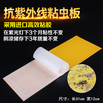 10 pieces of fly catcher sticky flies mosquitoes to kill fly fly fly glue glue fly paper