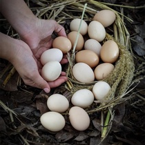 20 fresh eggs of local eggs in Shancang Forest Food Forest (SF Air Transport)