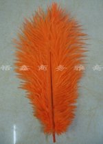 Xinjiang Uyghur dance headdress performance headdress Feather headdress Xinjiang hat national costume