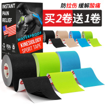 Sports professional muscle patch Internal effect elastic tape Waist support Knee ankle strain relief Pain bandage rehabilitation