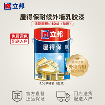Nippon House Dinbao weather-resistant color-preserving exterior wall paint 4 5L latex paint household Wall self-painting paint topcoat