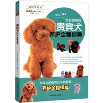 Poodle maintenance full guide Color plate My pet book Teddy bear pet life feeding guide book Fashion pet collection Dog domestication guide Poodle pet dog maintenance