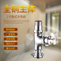 Rixin all-copper knob stool delay flushing valve Squat toilet toilet old-fashioned valve handle self-closing switch