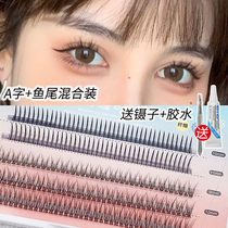 The novice party has seen the same false eyelashes female grafted natural single cluster fairy hair eyelashes self-adhesive
