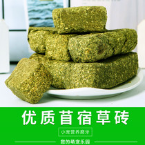 New Grindgrass Brick Clover Clover Grassy Tooth Zero Food Nutrition 500 gr Two