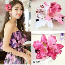 Two flowers on holiday by the sea take photo Head flowers edge clamp tai guo lan hair hairclip swimwear accessories