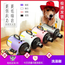 Pet water blower Dog hair dryer High-power large dog golden retriever cat household drying hair blowing 2200W