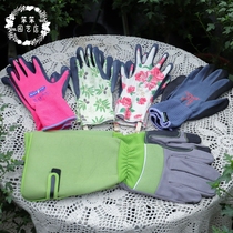 Gardening gloves digging with claws plastic nails protective insulation planting flowers Rose stab-proof