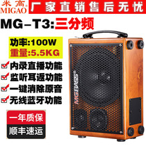 Mi Gao MG-T3 Electric Blow Sax Erhu Outdoor Speaker Acoustic Guitar Play Inside Record Live Musical Audio