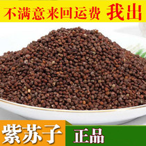 Northeast new Chinese herbal medicine perilla wild Suzi seed perilla 500g