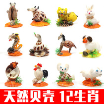 12 12 Zodiac natural shell conch crafts home decorations tourist souvenir ornaments childrens toys